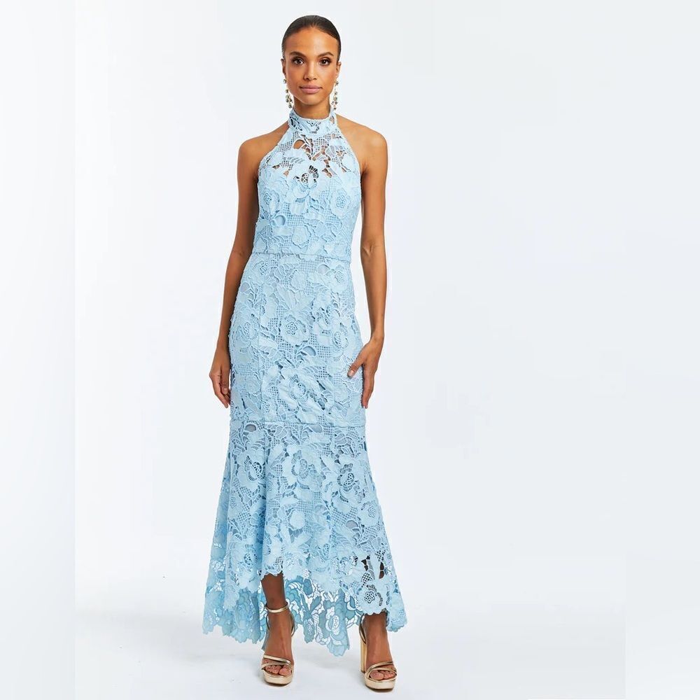 Mestiza New York's Francesca gown / size 12